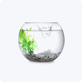 Fish Pot